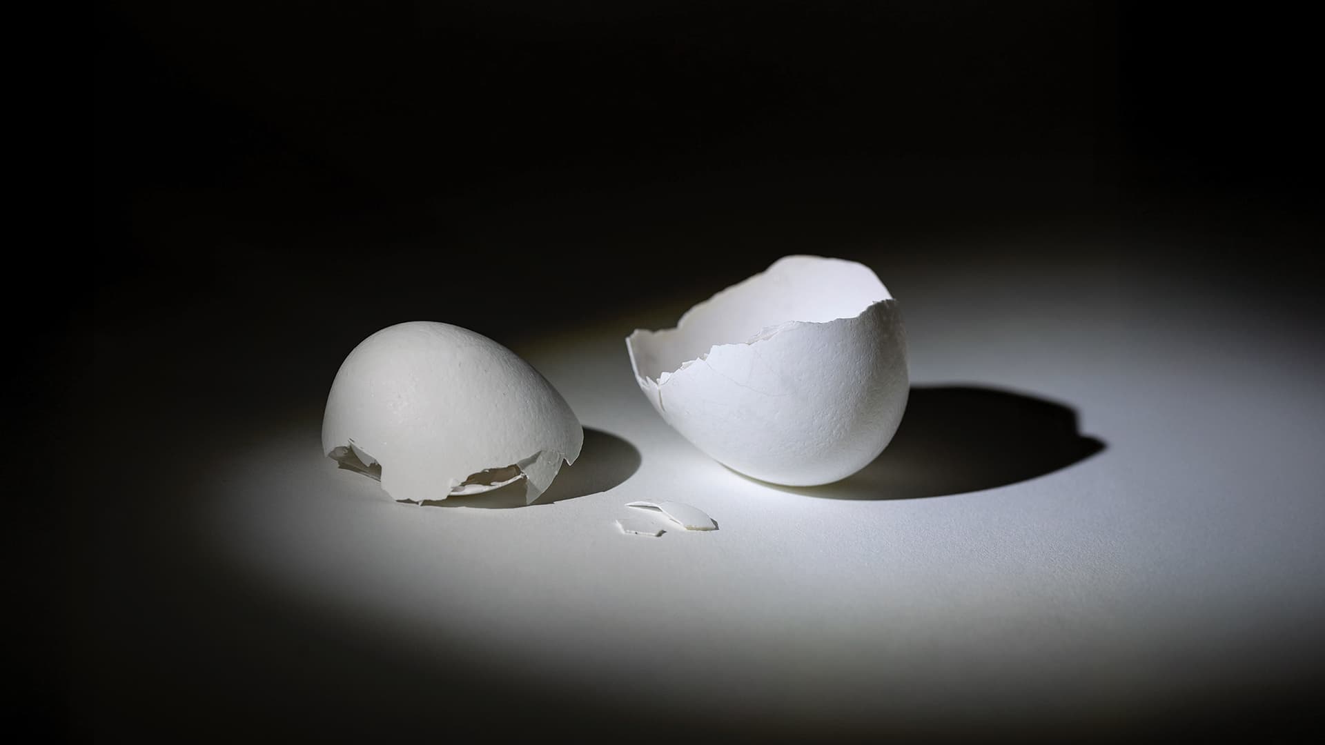 cracked eggshells on dark background
