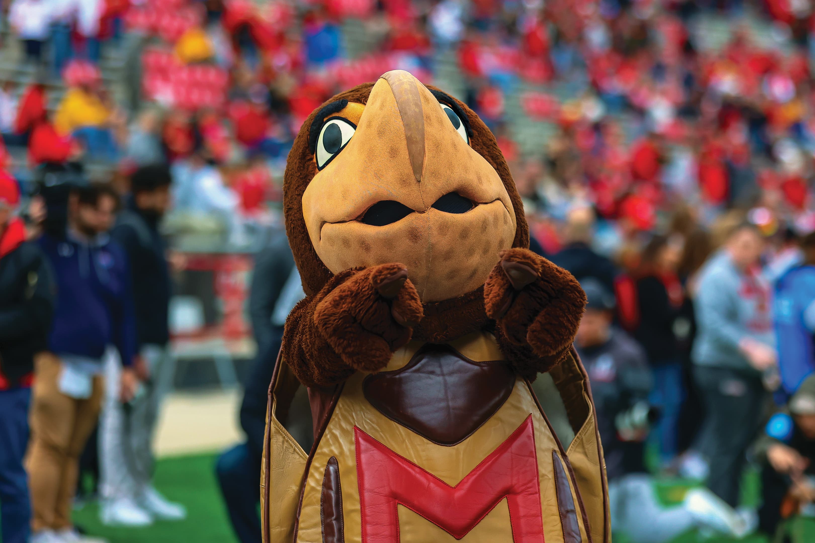 Testudo the terrapin pointing at the camera during a football game