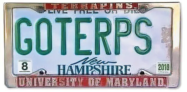 GOTERPS license plate