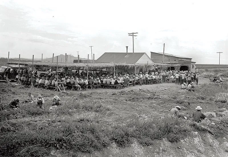 Workers from the Tule Lake farm eat lunch