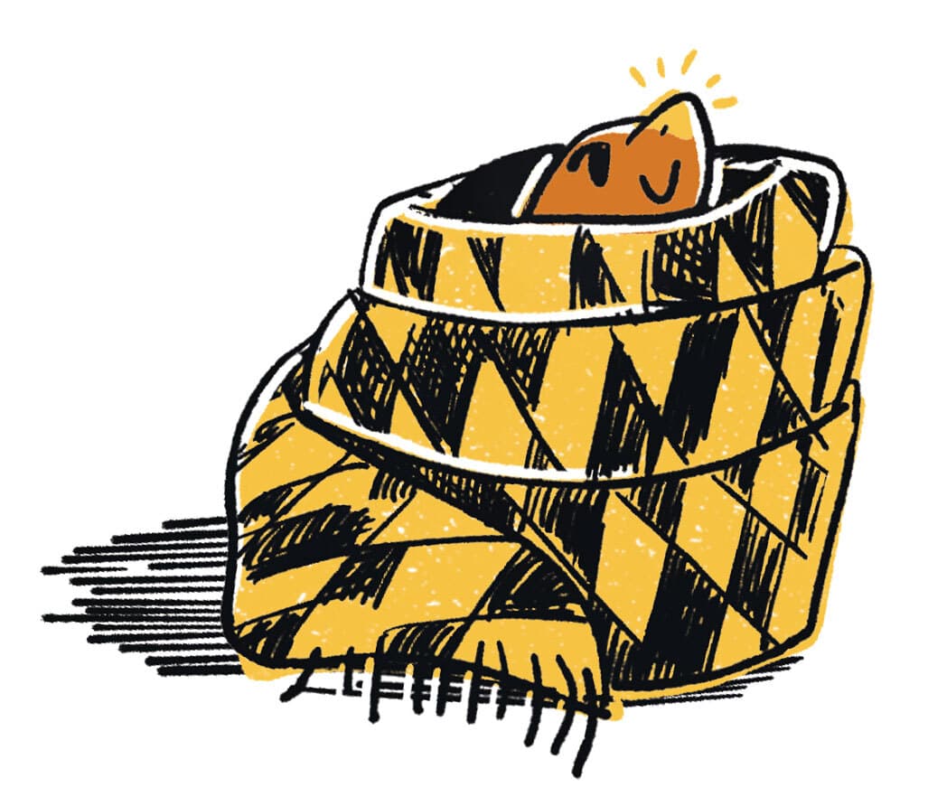 turtle wrapped in black and gold scarf