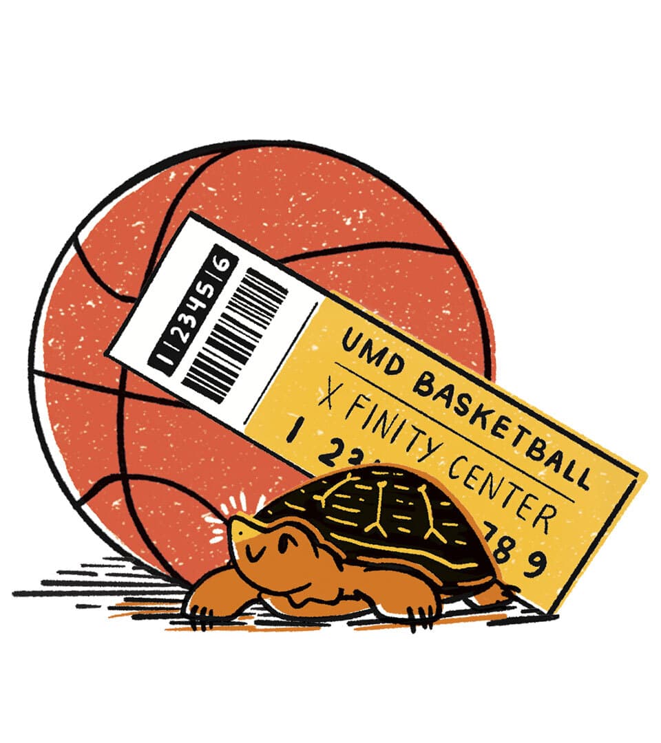turtle with basketball and ticket