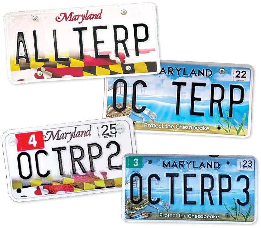 four license plates that read, "ALLTERP," "OC TERP," "OCTRP2" and "OCTERP3"