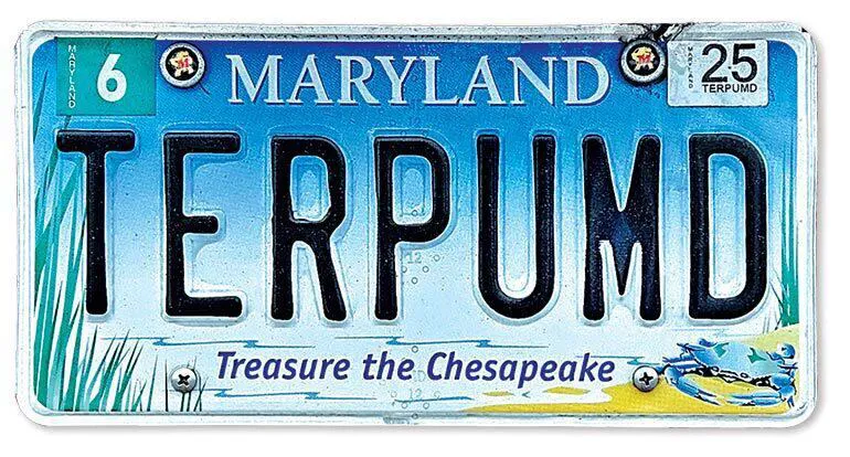 TERPUMD license plate