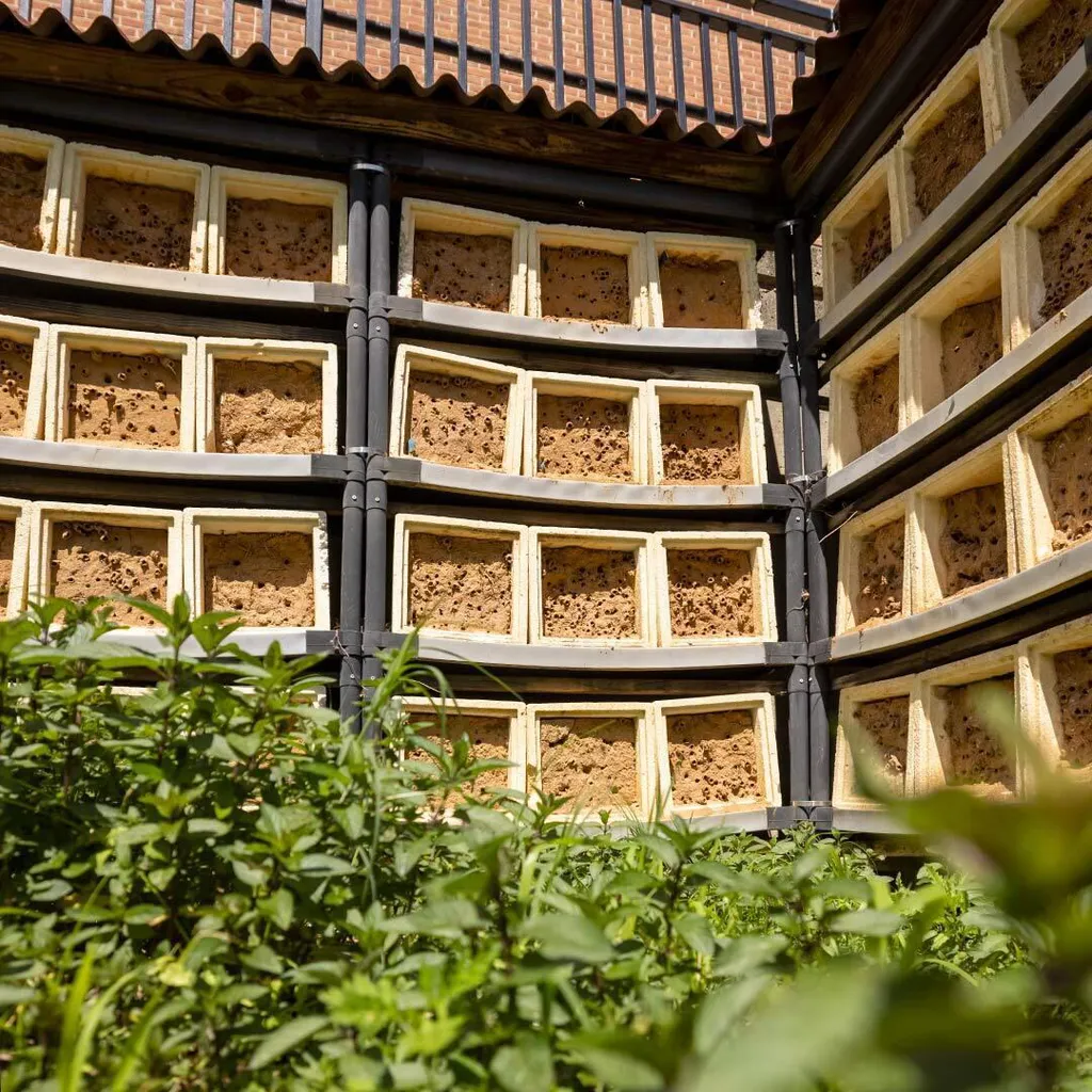 bee habitat wall
