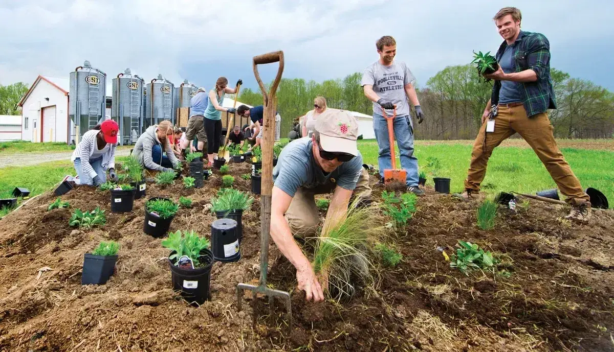 Planting