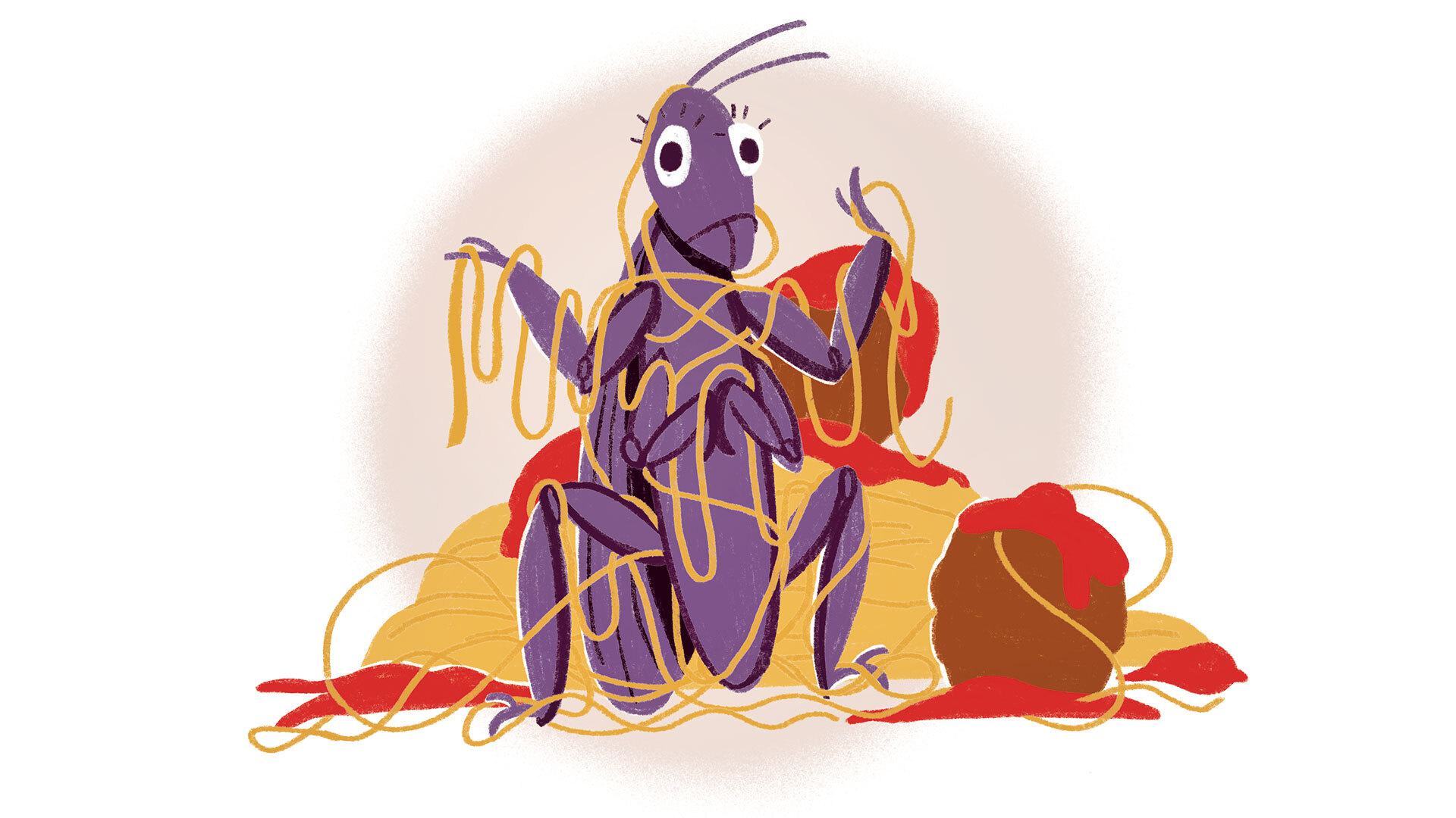 cricket in spaghetti and meatballs