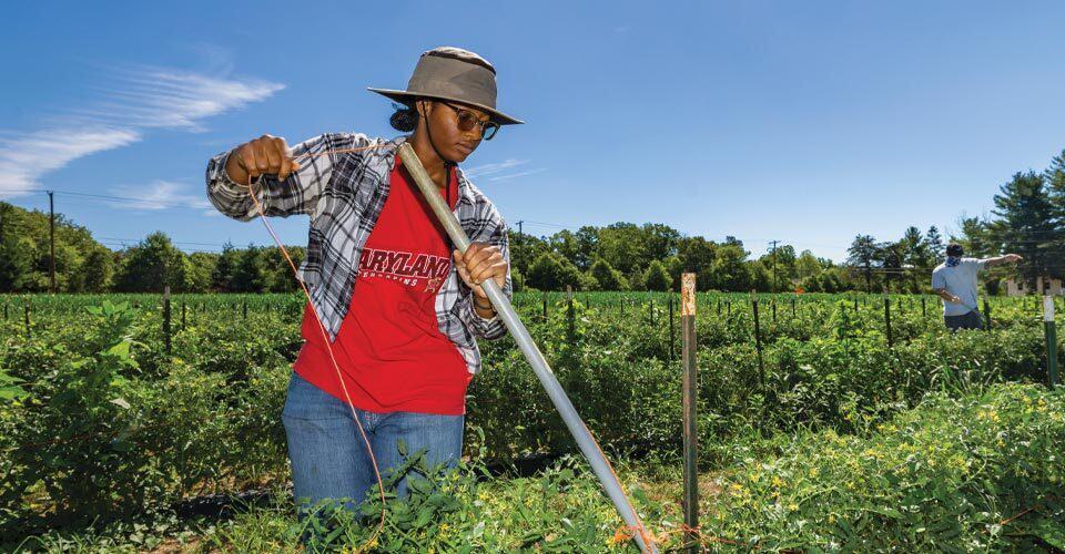 student works on farm