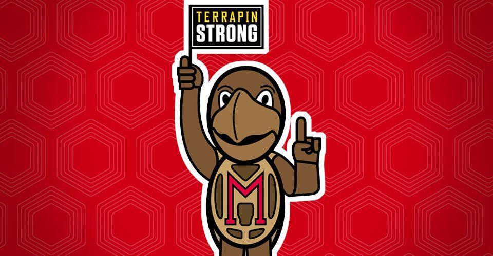 Illustration of Testudo with Terrapin Strong flag