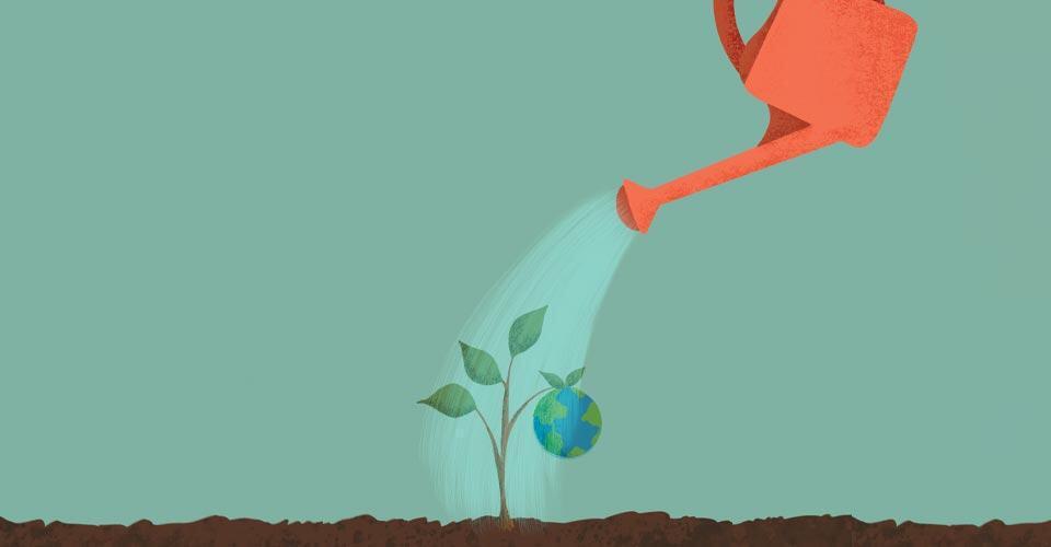 Watering can illustration