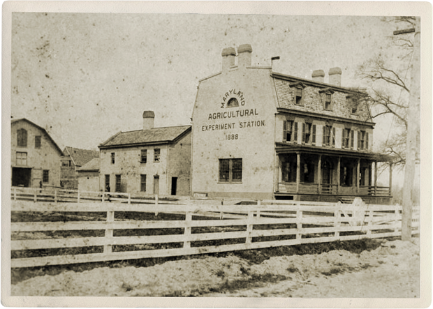 Historic Inn Artwork 620