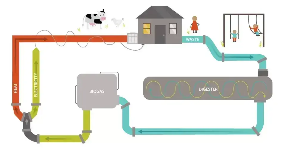 Innovation waste web
