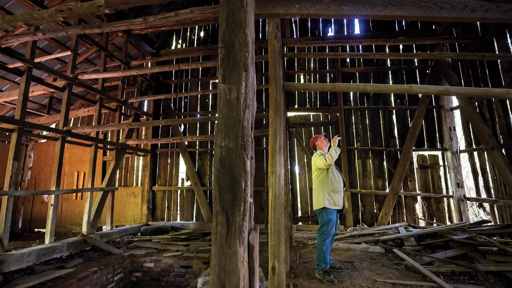 Dennis Pogue examines tobacco barn