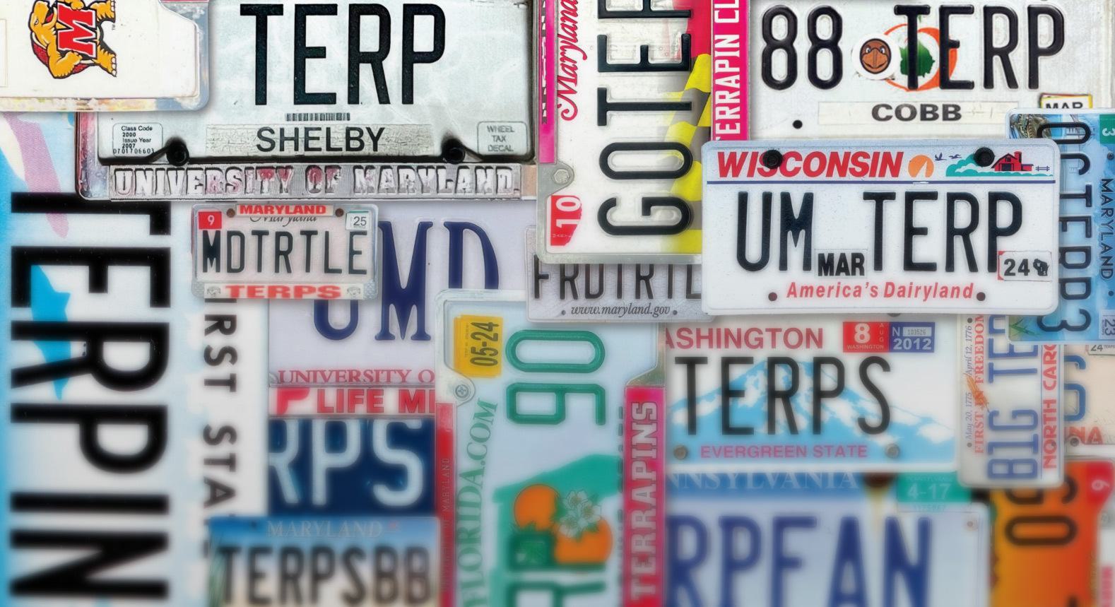 collection of Terp license plates