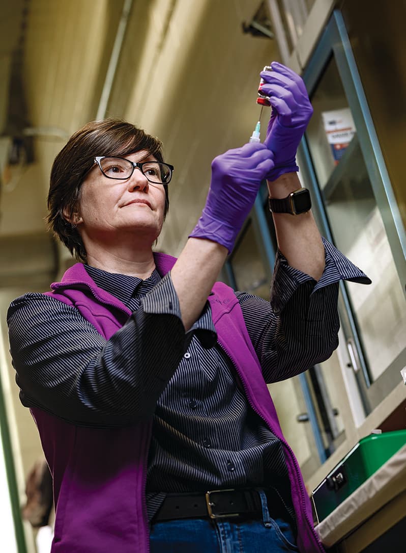Researcher prepares tranquilizer