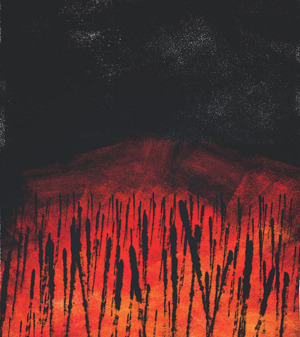 forest fire illustration