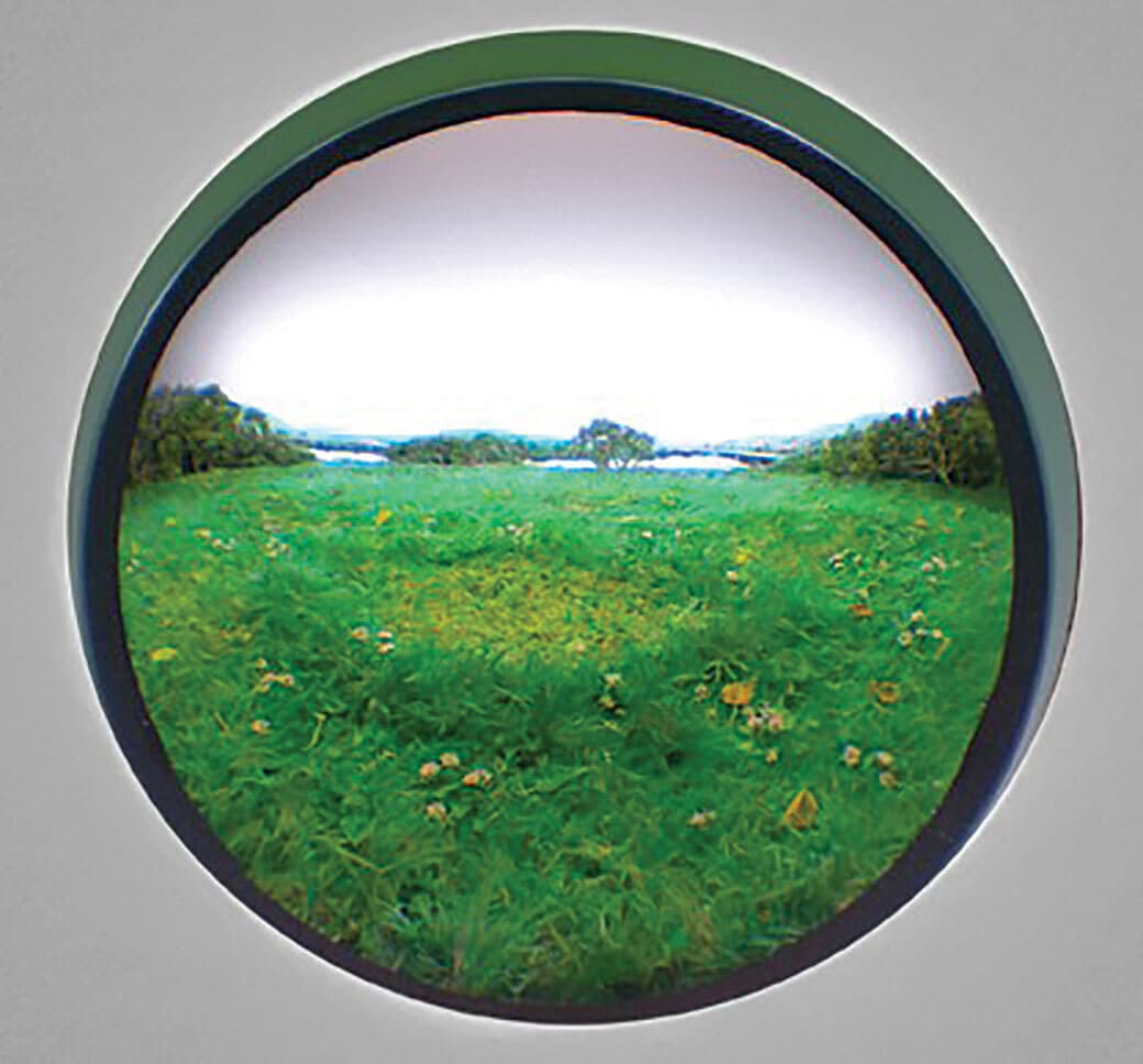 meadow scene