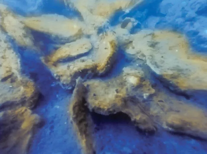 underwater camera view
