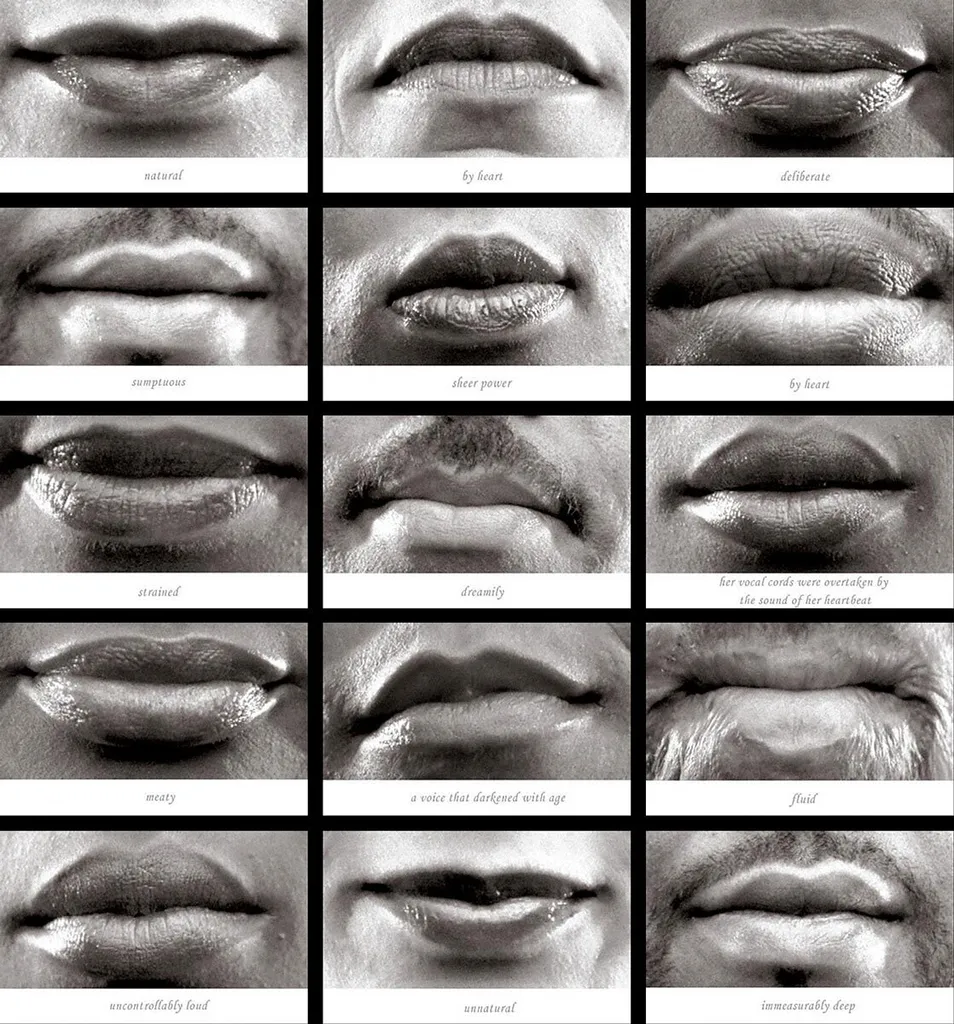 close-up photos of 15 mouths