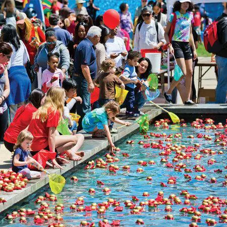 kids fishing floating foam turtles out of ODK Fountain with nets